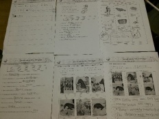 À̹ÌÁö½æ³×ÀÏ 58x58