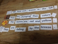 À̹ÌÁö½æ³×ÀÏ 58x58