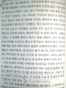 À̹ÌÁö½æ³×ÀÏ 58x58