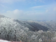 À̹ÌÁö½æ³×ÀÏ 58x58