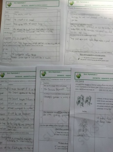 À̹ÌÁö½æ³×ÀÏ 58x58