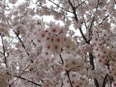 À̹ÌÁö½æ³×ÀÏ 58x58