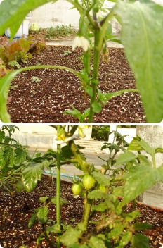 À̹ÌÁö½æ³×ÀÏ 58x58