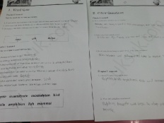 À̹ÌÁö½æ³×ÀÏ 58x58