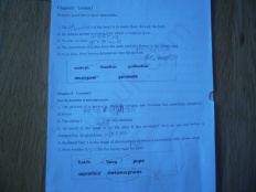 À̹ÌÁö½æ³×ÀÏ 58x58