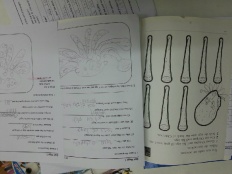 À̹ÌÁö½æ³×ÀÏ 58x58