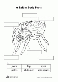 ̹ 58x58