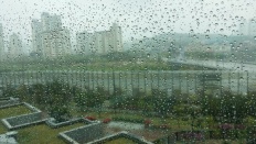 À̹ÌÁö½æ³×ÀÏ 58x58