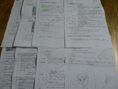 À̹ÌÁö½æ³×ÀÏ 58x58