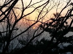 À̹ÌÁö½æ³×ÀÏ 58x58