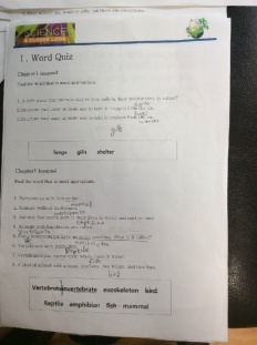 À̹ÌÁö½æ³×ÀÏ 58x58