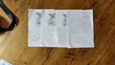 À̹ÌÁö½æ³×ÀÏ 58x58