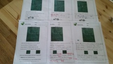 À̹ÌÁö½æ³×ÀÏ 58x58