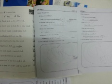 À̹ÌÁö½æ³×ÀÏ 58x58