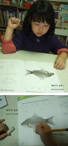 À̹ÌÁö½æ³×ÀÏ 58x58