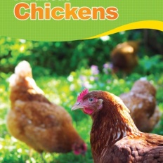 À̹ÌÁö½æ³×ÀÏ 58x58