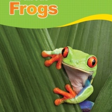 À̹ÌÁö½æ³×ÀÏ 58x58