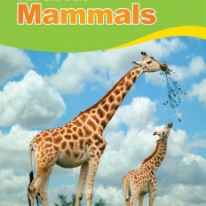 À̹ÌÁö½æ³×ÀÏ 58x58