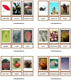 À̹ÌÁö½æ³×ÀÏ 58x58