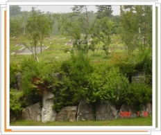 À̹ÌÁö½æ³×ÀÏ 58x58