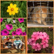 À̹ÌÁö½æ³×ÀÏ 58x58