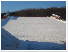 À̹ÌÁö½æ³×ÀÏ 58x58