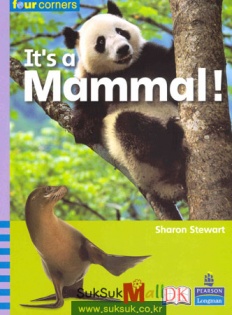 À̹ÌÁö½æ³×ÀÏ 58x58