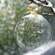 À̹ÌÁö½æ³×ÀÏ 58x58