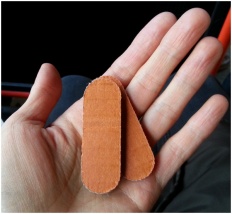 À̹ÌÁö½æ³×ÀÏ 58x58