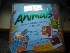 À̹ÌÁö½æ³×ÀÏ 58x58