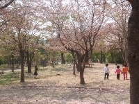 À̹ÌÁö½æ³×ÀÏ 58x58