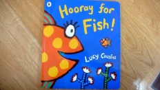 À̹ÌÁö½æ³×ÀÏ 58x58