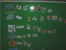 À̹ÌÁö½æ³×ÀÏ 58x58