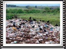 À̹ÌÁö½æ³×ÀÏ 58x58