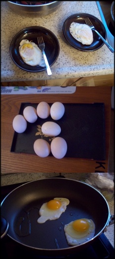 À̹ÌÁö½æ³×ÀÏ 58x58