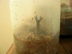 À̹ÌÁö½æ³×ÀÏ 58x58