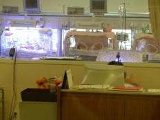 À̹ÌÁö½æ³×ÀÏ 58x58