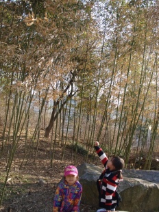 À̹ÌÁö½æ³×ÀÏ 58x58