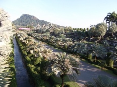 À̹ÌÁö½æ³×ÀÏ 58x58