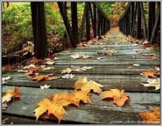 À̹ÌÁö½æ³×ÀÏ 58x58