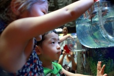 À̹ÌÁö½æ³×ÀÏ 58x58