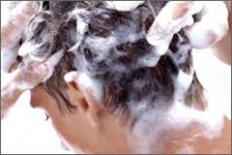 À̹ÌÁö½æ³×ÀÏ 58x58