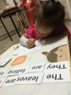 À̹ÌÁö½æ³×ÀÏ 58x58