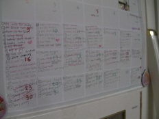 À̹ÌÁö½æ³×ÀÏ 58x58