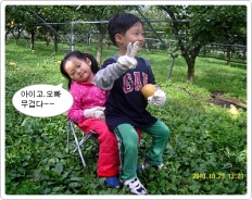 À̹ÌÁö½æ³×ÀÏ 58x58