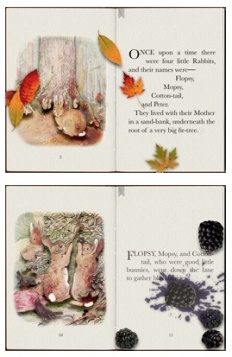 À̹ÌÁö½æ³×ÀÏ 58x58