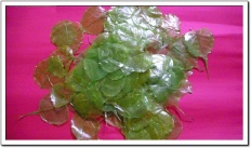 À̹ÌÁö½æ³×ÀÏ 58x58