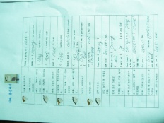 À̹ÌÁö½æ³×ÀÏ 58x58