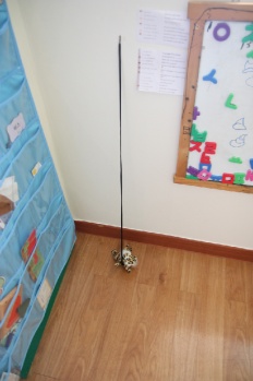 À̹ÌÁö½æ³×ÀÏ 58x58