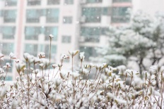 À̹ÌÁö½æ³×ÀÏ 58x58